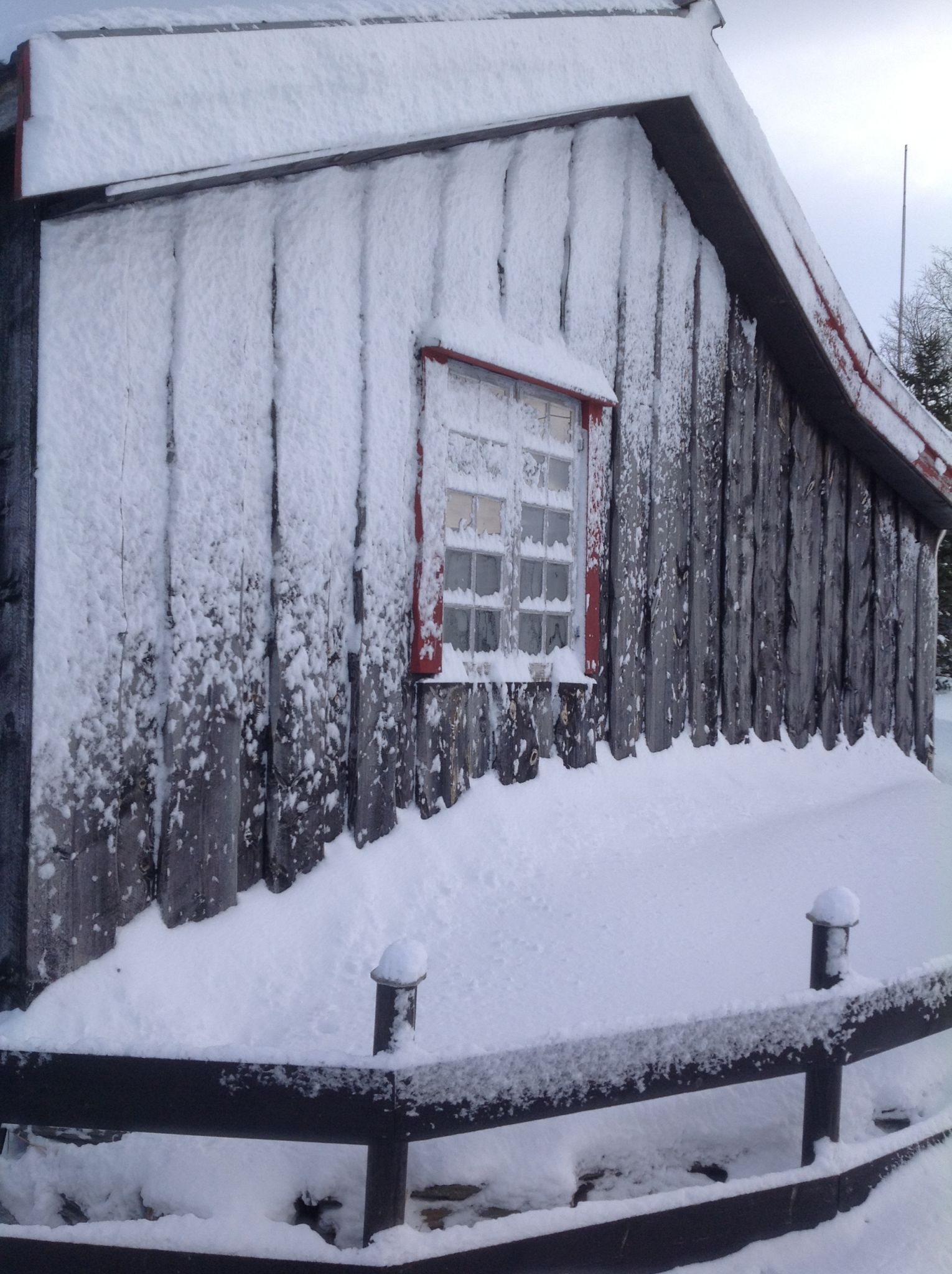 hut in sneeuw
